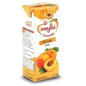 MEYSU KAYISI DİNAMİC MEYVU SUYU 27 Lİ