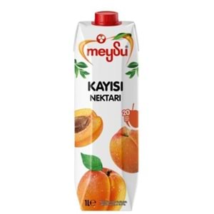 MEYSU KAYISI NECTAR MEYVE SUYU 1 LT