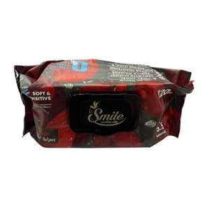 SMİLE ISLAK MENDİL 120 Lİ