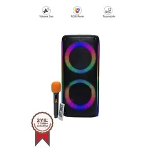 AND AND-KTS-1909 İKARAOKE BOX SPEAKER
