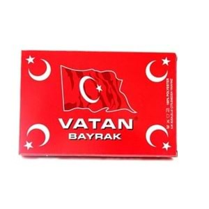 VATAN BEZ BAYRAK 120X180 VT109