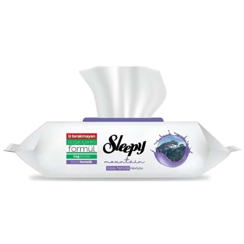 Sleepy Easy Clean Yüzey Temizlik Havlusu 100 lü Dağ Esintisi