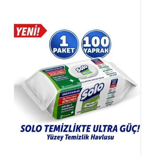 SOLO YÜZEY TEMİZLİK HAVLUSU 100 LÜ