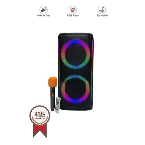 AND AND-KTS-1909 İKARAOKE BOX SPEAKER